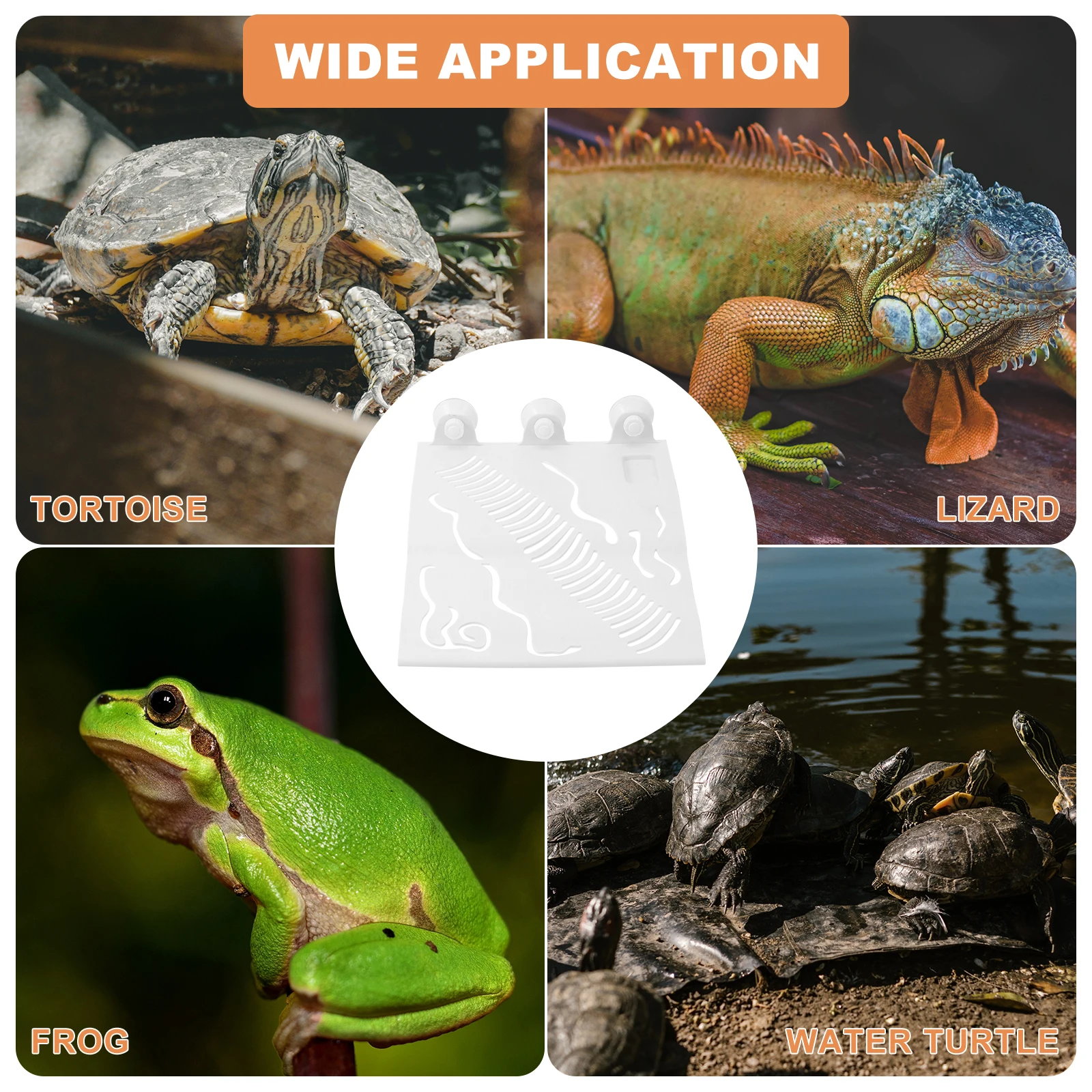 

Turtle Basking Platform Reptile Climbing Terrace Pet Supplies PP Material Strong Load Bearing Suction Cup Easy Install Long Life