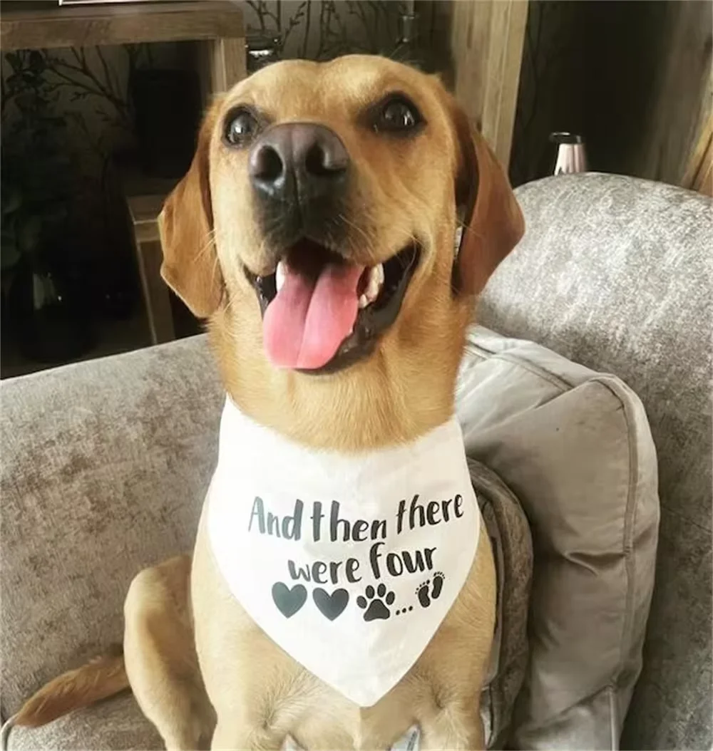 And Then There Were Four Dog Bandana Baby Announcement Dog Collar Pregnancy Baby Shower Gift Baby Coming Soon