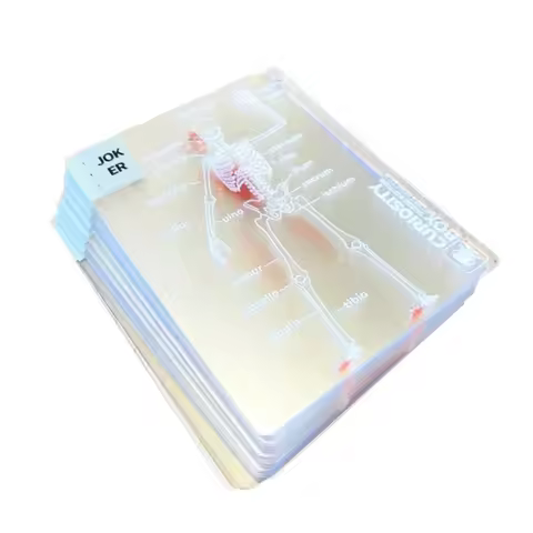 Full Skeleton Human Anatomy Playing Cards X-Ray Designs The Body Deck Skeleton Mannequin Body Deck Educational Playing Cards Kit