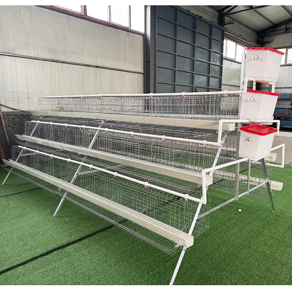A-Type Layer Chicken Cage Battery Cages Manual,Semi/Fully Automation with Feeding ,drinking System for Laying Hens Poultry Farm