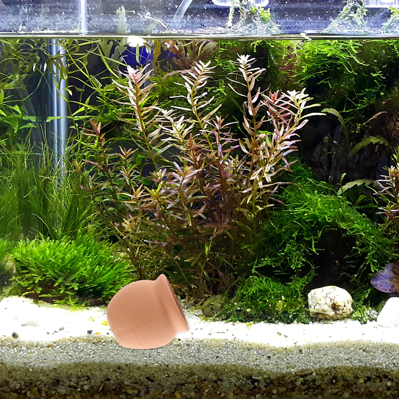 

2Pcs Fish Tank Shelter Jar Realistic Clay Aquarium Decor Natural Fish Hideaway for Fresh and Saltwater Tanks Figurine