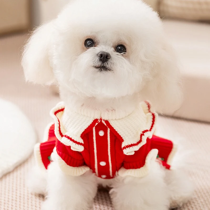 

Teddy Princess Style Knitted Dress with Embroidered Flowers Pet Clothes Bichon Frise Sweater Pullover Winter Warm Dog Clothes
