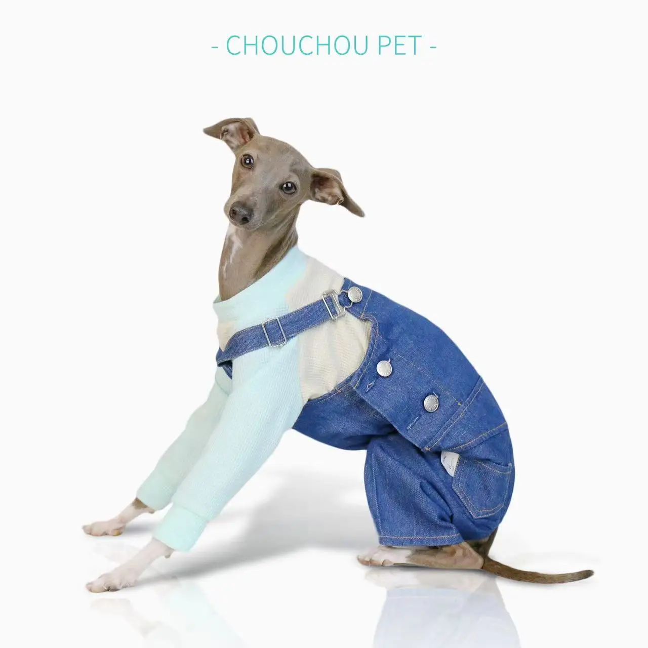 Italian greyhound denim overalls retro classic leg protection cloth fashionable whippet adjustable pants