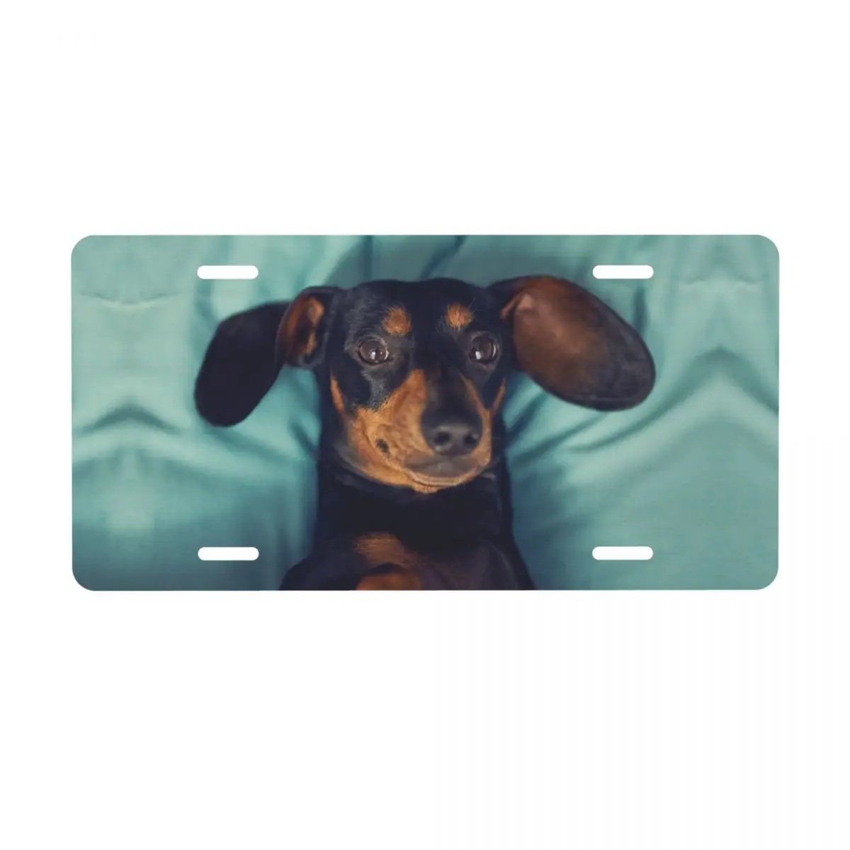 Dachshund License Plate Personalized Badger Sausage the Wiener Dog Decorative Car Front License Plate Cover Aluminum Vanity Tag