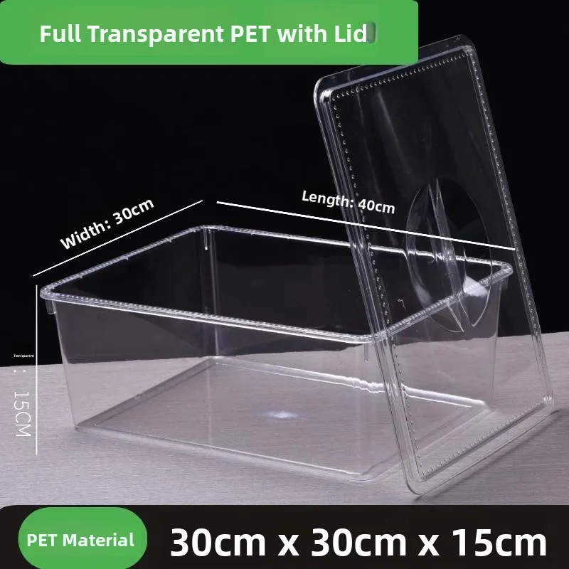 Thickened Plastic Rectangular Storage Box with Lid for Kindergarten Toys And Hot Pot Selection Display Food Storage Container