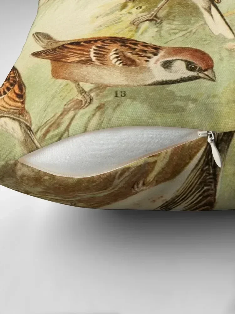 A flock of sparrows and seed eating birds vintage art Throw Pillow Sofa Cushions Cover luxury decor Decorative Cushions pillow