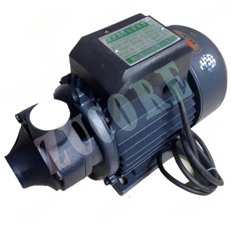 Bomba de vórtice de alta presión, generador de vapor 15DW-550, caldera de temperatura de calefacción eléctrica, accesorios, bomba de agua multietapa de 750W