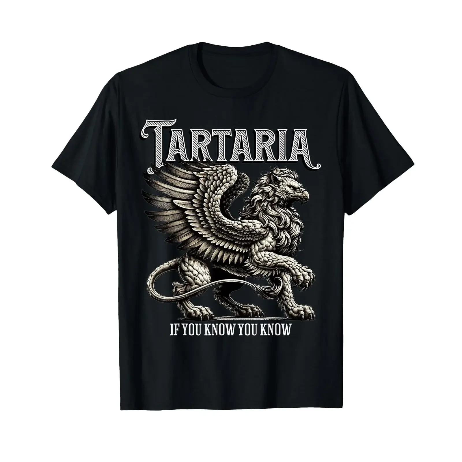 T-shirt unisexe vintage « Histoire de la Tartarie : Connaître et chercher la vérité sur la crue de boue », style streetwear délavé, respirant, graphique, doux