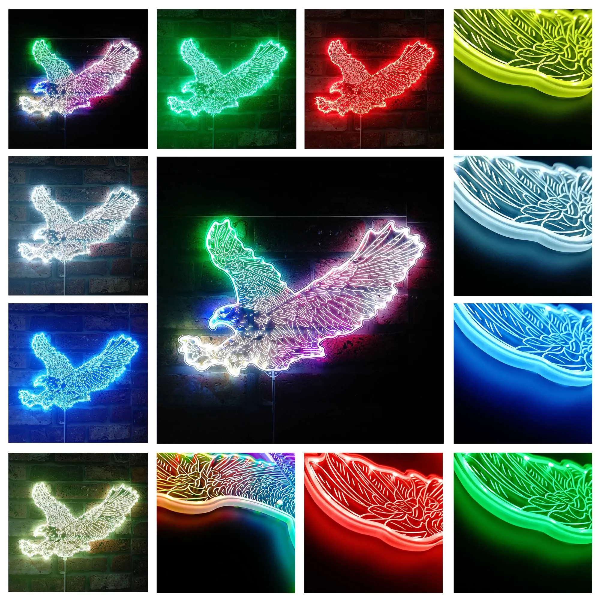 Eagle Falcon Landing Animal Glam Led Neon Sign st06-fnd-i0076-c