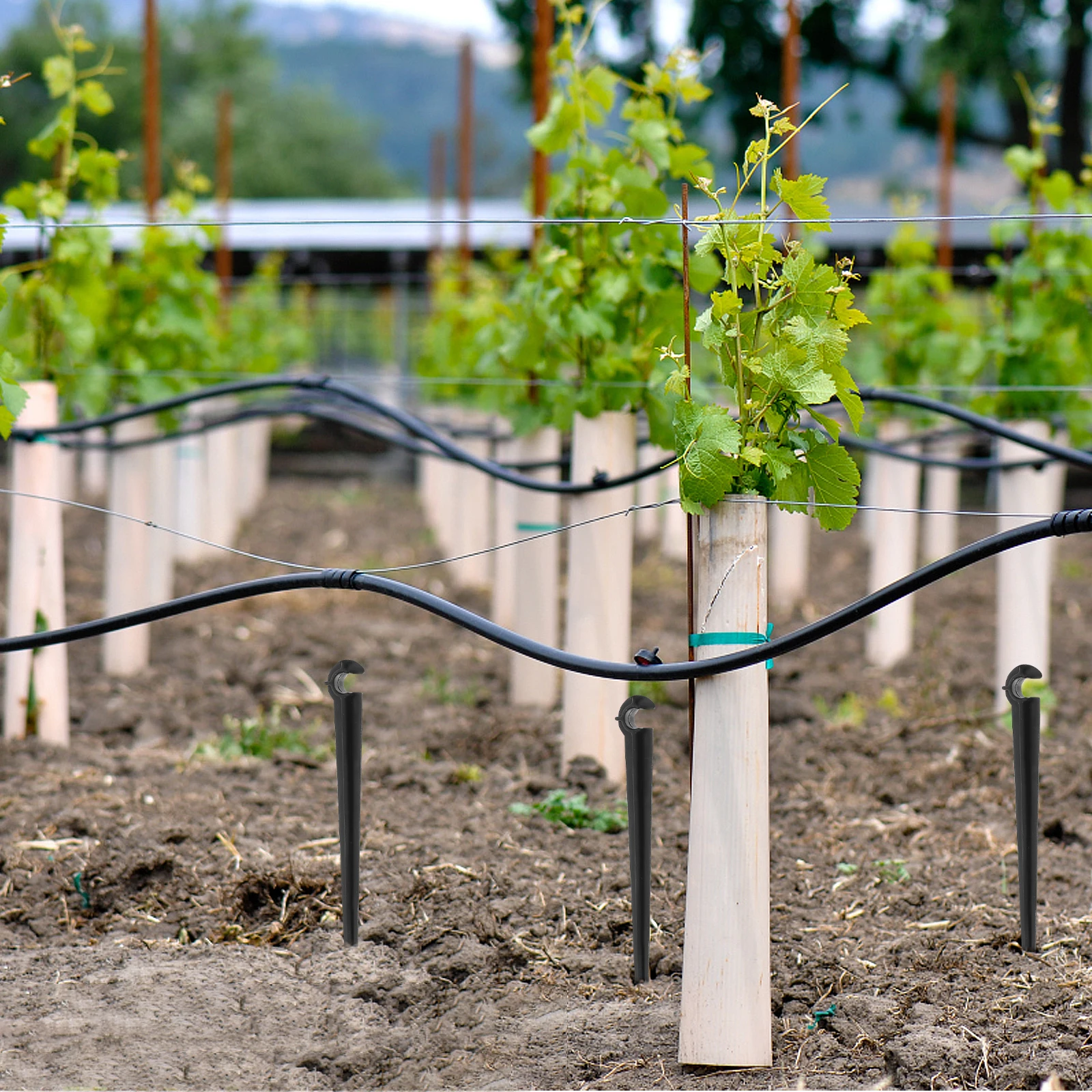 50 قطعة الري دعم ثابت حصص الأرض إدراج قضيب ABS لحديقة الدفيئة بالتنقيط الري الملحقات