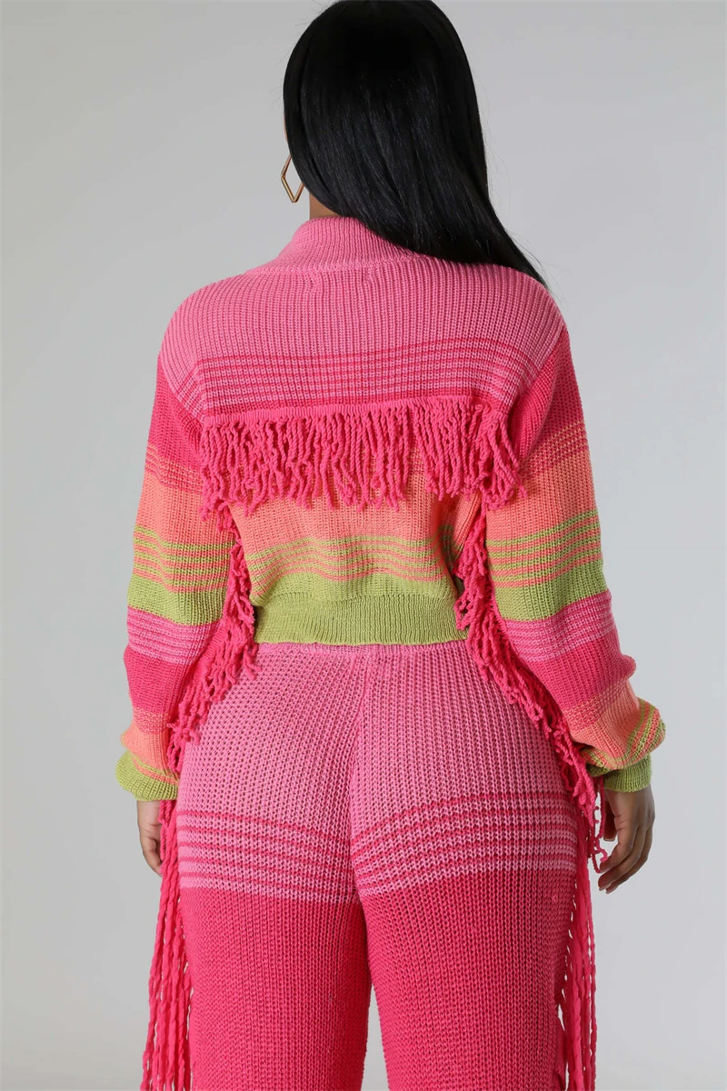 Colorblock Knitted 2 Piece Sets Women Outfit Fall Clothes 2024 Women Tassel Sweater Top and Pant Sets Casual Knitting Woman Sets