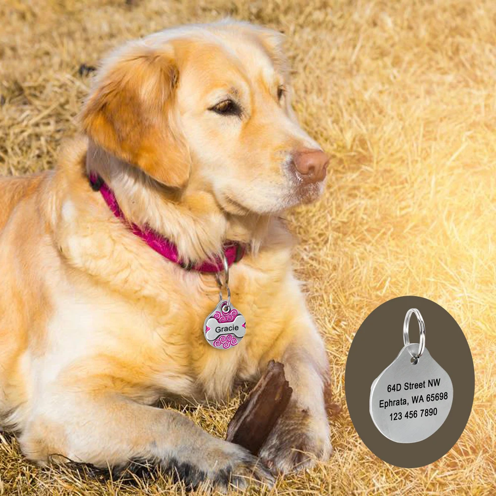 Personalized Dog ID Tag Customized Dogs Cat Tags Nameplate Free Engraved Puppy Kitten Collar Pendant Anti-lost Pet Accessories