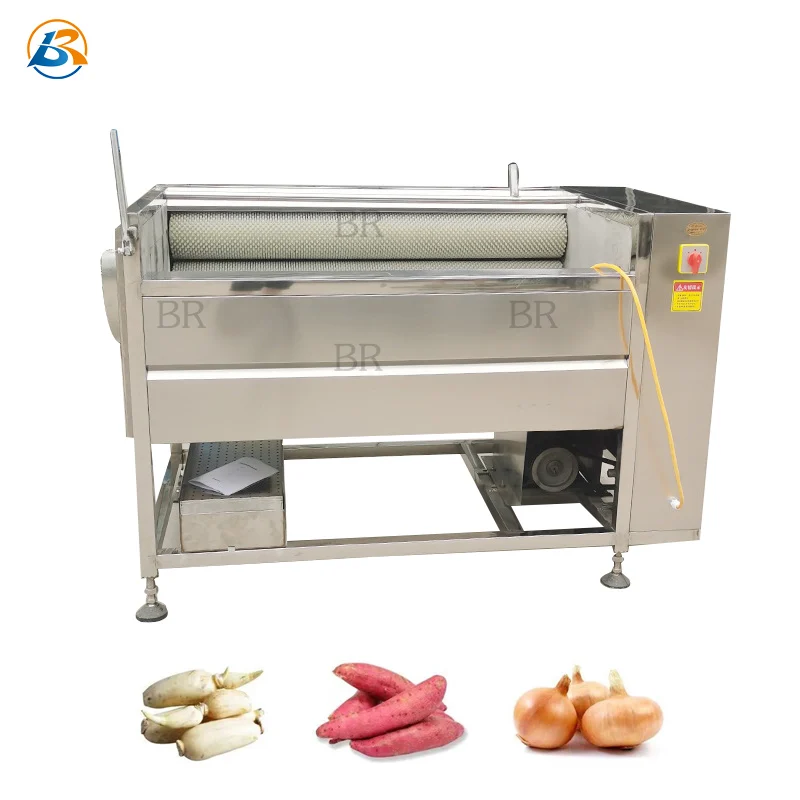 Hot Sell HL800 Fish / Shrimp Carrot Potato Washing Cleaning Machine Automatic Turmeric Washing Peeling Machine In India