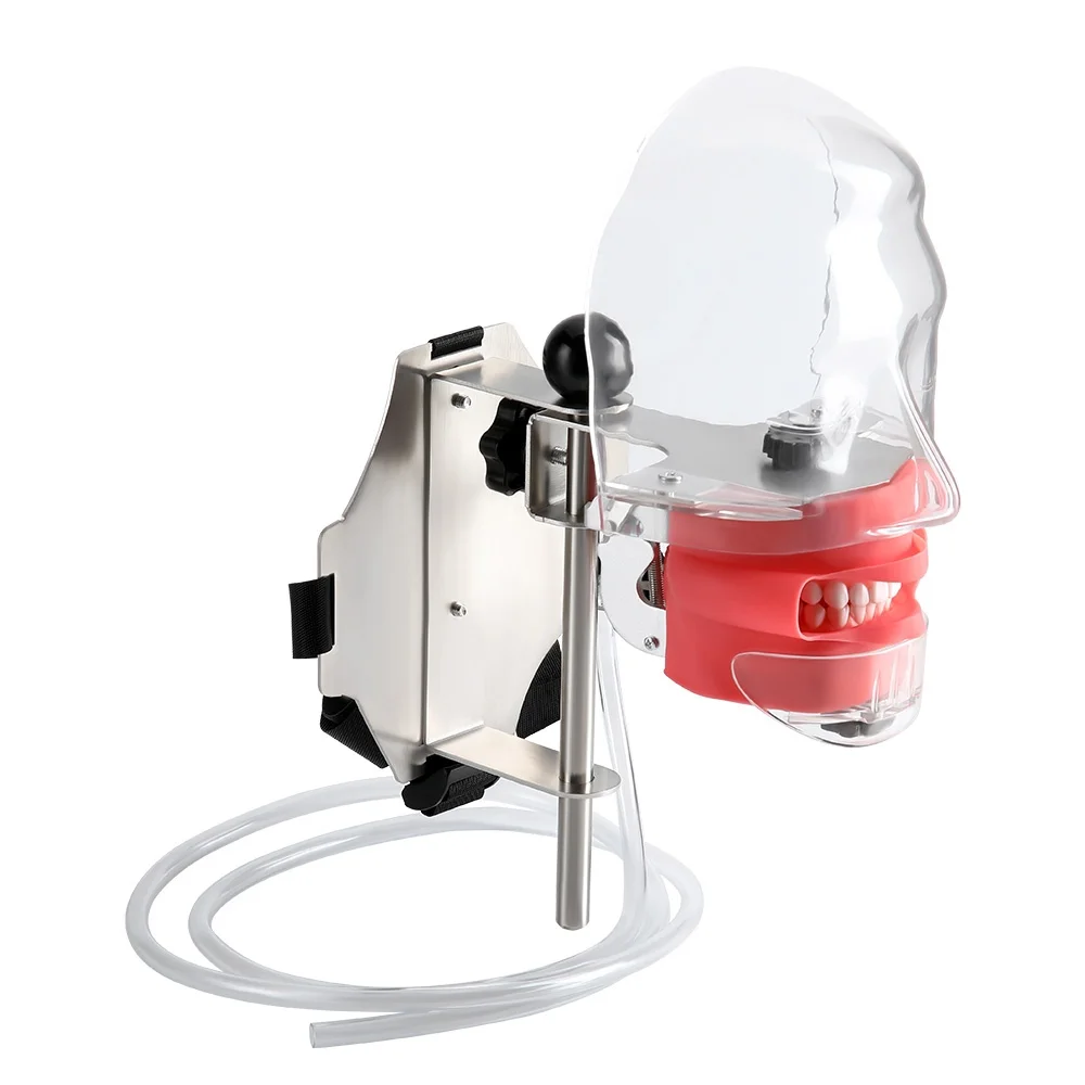 JUMTOP Dental Simulator Phantom Head Dentistry Chair Strap Type Simulation Head Model with 28Pcs Teeth for Dentist Teaching Prac