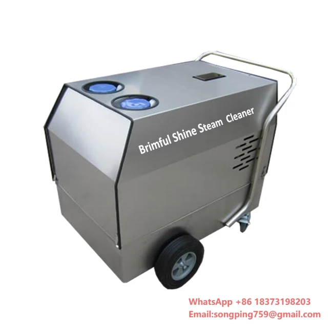 Heating 28bar Steam Cleaner High Pressure Portable