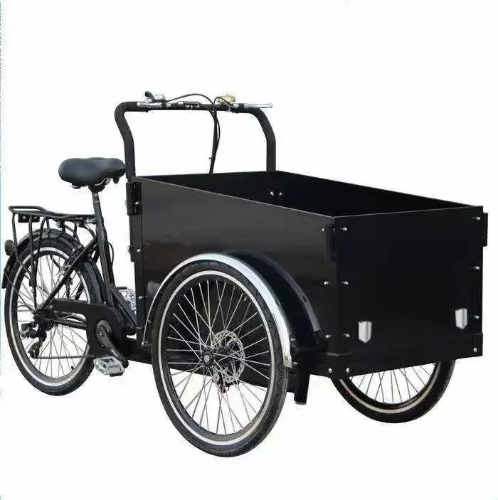 

Sustainable Lithium Battery 24inch Cargo E-bikes Long Seat Cargo Bike Elektrisch Family Cargo Bike Child Seat