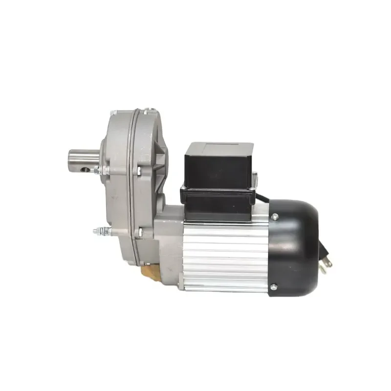 High Torque Low Speed Single Phase AC Electric Motor for Industrial Machinery Automation Equipment Heavy Duty Gear Drive Unit