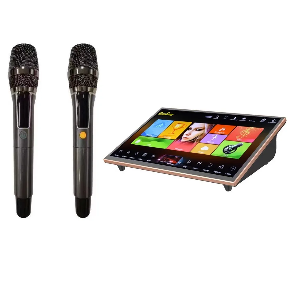 2024 GymSong latest 19 inch 5in1  Professional Portable Karaoke Player Durable Using Karaoke Machine Home Theater KTV System