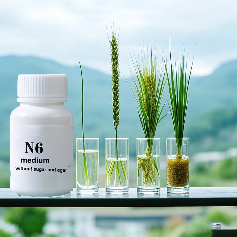 N6 متوسط بدون سكر أو أجار ثقافة الأنسجة ثقافة بروتوبلاست ثقافة أخرى زراعة النباتات المتجددة 50 جرام 100 جرام 250 جرام #2