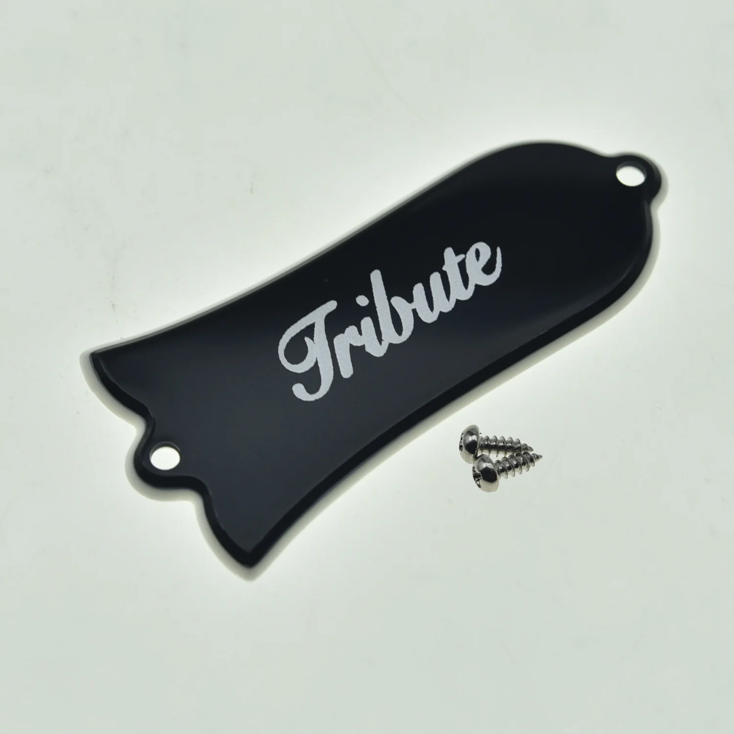 KAISH Premium Silver Paint Truss Rod Cover with Stainless Steel Screws for Gibson LP Les Paul/SG/ES Electric/Acoustic Guitars - view 4