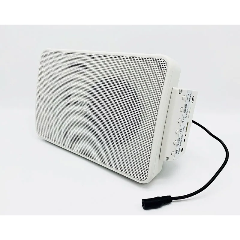 China Stereo Sound Public Address System USB 30W Adjustable Volume Active Blue tooth Wall Speaker