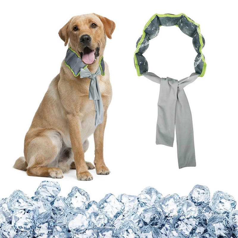 

Pet cat dog ice towel for summer cooling, wearing dog collar and neck scarf for outdoor activities