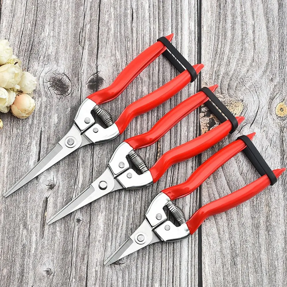 1Pcs Florist Scissor Tool Tree Pruning Shear Gardening Leaf Trimmer Garden Scissors Straight Hand Pruner Micro-Tip Pruning Snips