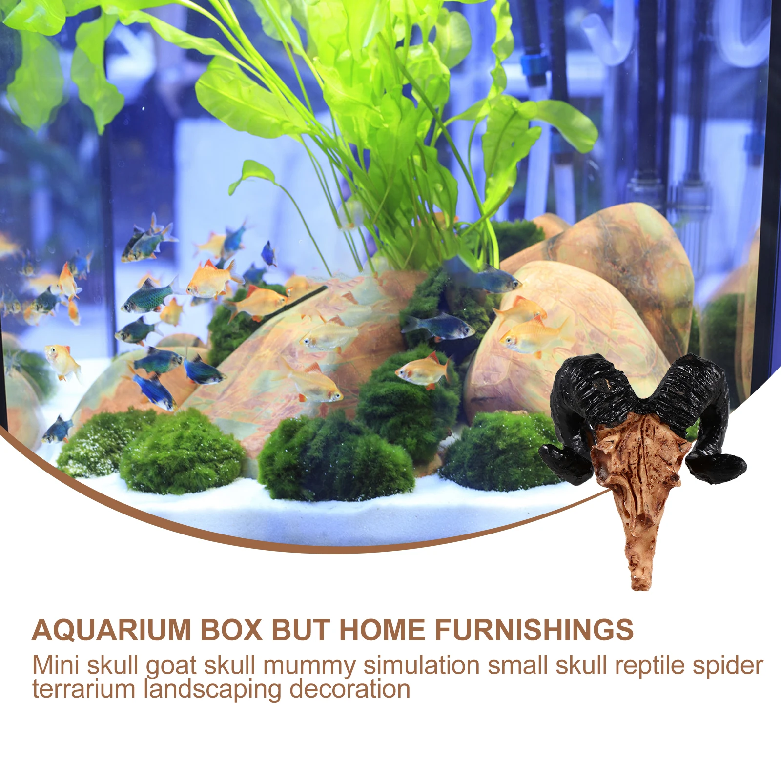 

Mini Skull Resin Decorations for Reptile Pet Box L scaping Adornment Goat nament Lifelike Details Safe Material