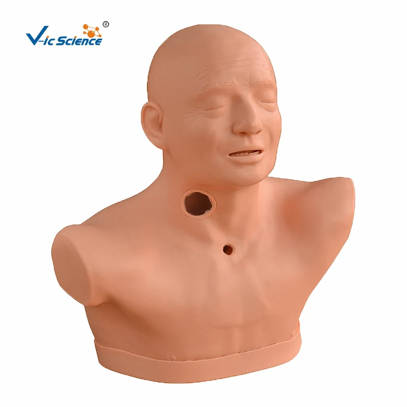 

Advanced Adult Tracheotomy Care Model