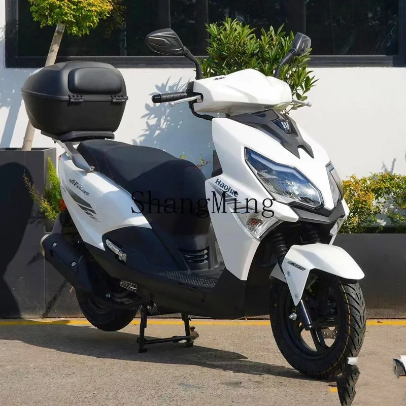 Lxy Pedal Motorcycl…