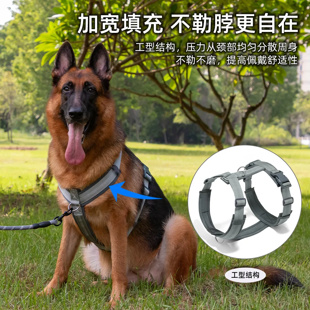 Dog Leash, Chest St…