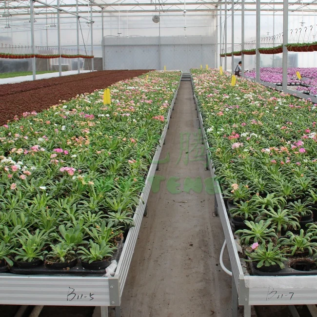 持続可能な環境に優しい水耕栽培苗トレイ栽培トレイ