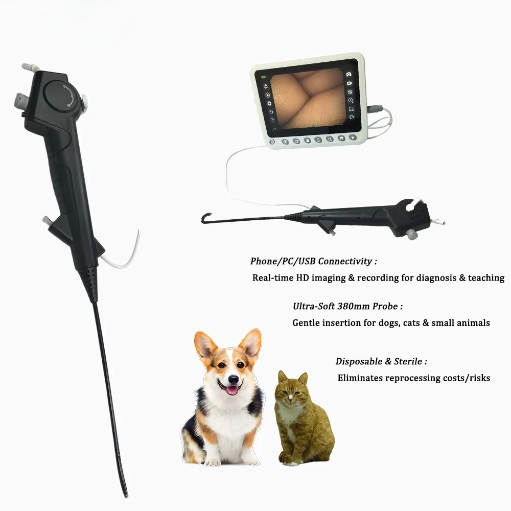 HD 5.4mm Cystoscope With Large Channel 3mm 400p Veterinary Medical Phone PC Cystoscope Set Urology Forceps Human