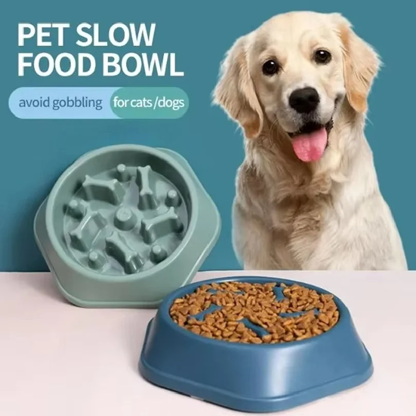 Gamelle anti-glissement pour c - Royal Canin Food Medium avis et prix