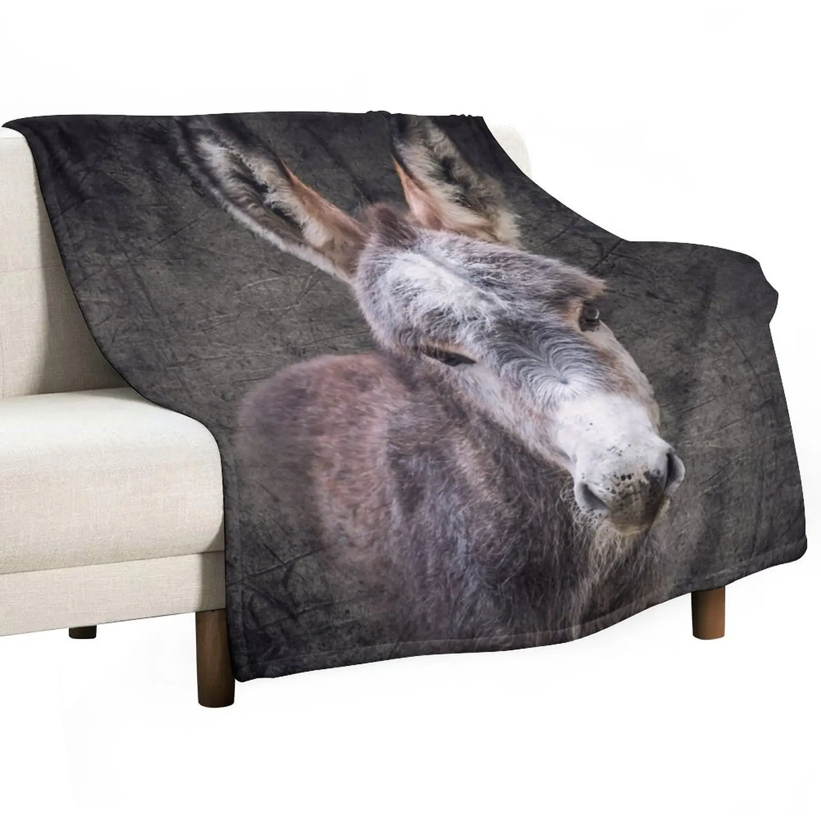 

Donkey foal Mattheo Throw Blanket Beach Blanket Blanket For Sofa