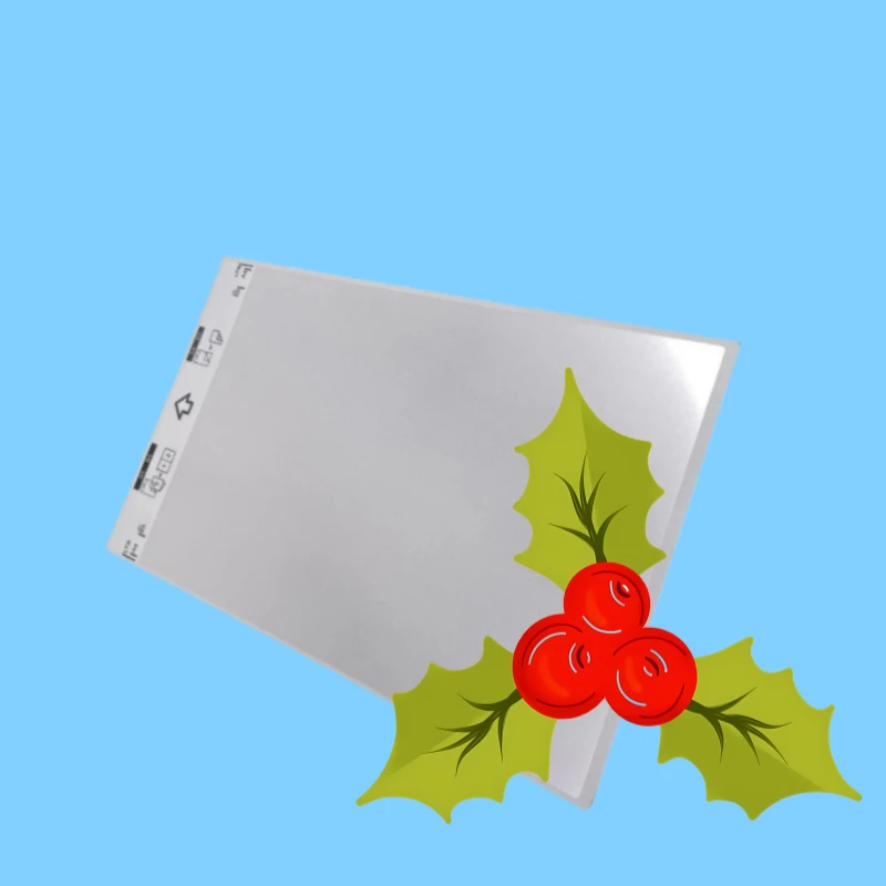 5 X CS-A3001 CS-A3301 Carrier Sheet Sheets for Brother A4 Scanner Scan A3 B4 Odd-Sized Flimsy Wrinkled Folded Torn Paper Receipt