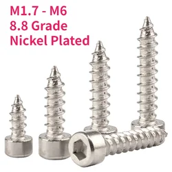 M1.7 M2 M2.3 M2.6 M3 M3.5 M4 M5 M6 8.8 Grade Carbon Steel Nickel Plated Allen Hex Hexagon Socket Cap Head Self Tapping Screw
