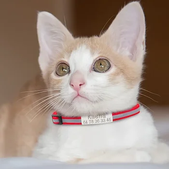 10 best sales Air tag dog collar - №4