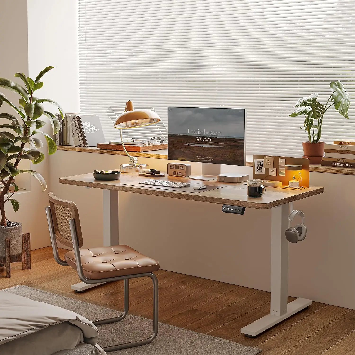 48 X 24 Inch Height Adjustable Electric Standing Desk, Maple | Smooth Height Adjustment, 2 Memory Presets, One-Touch Control, St