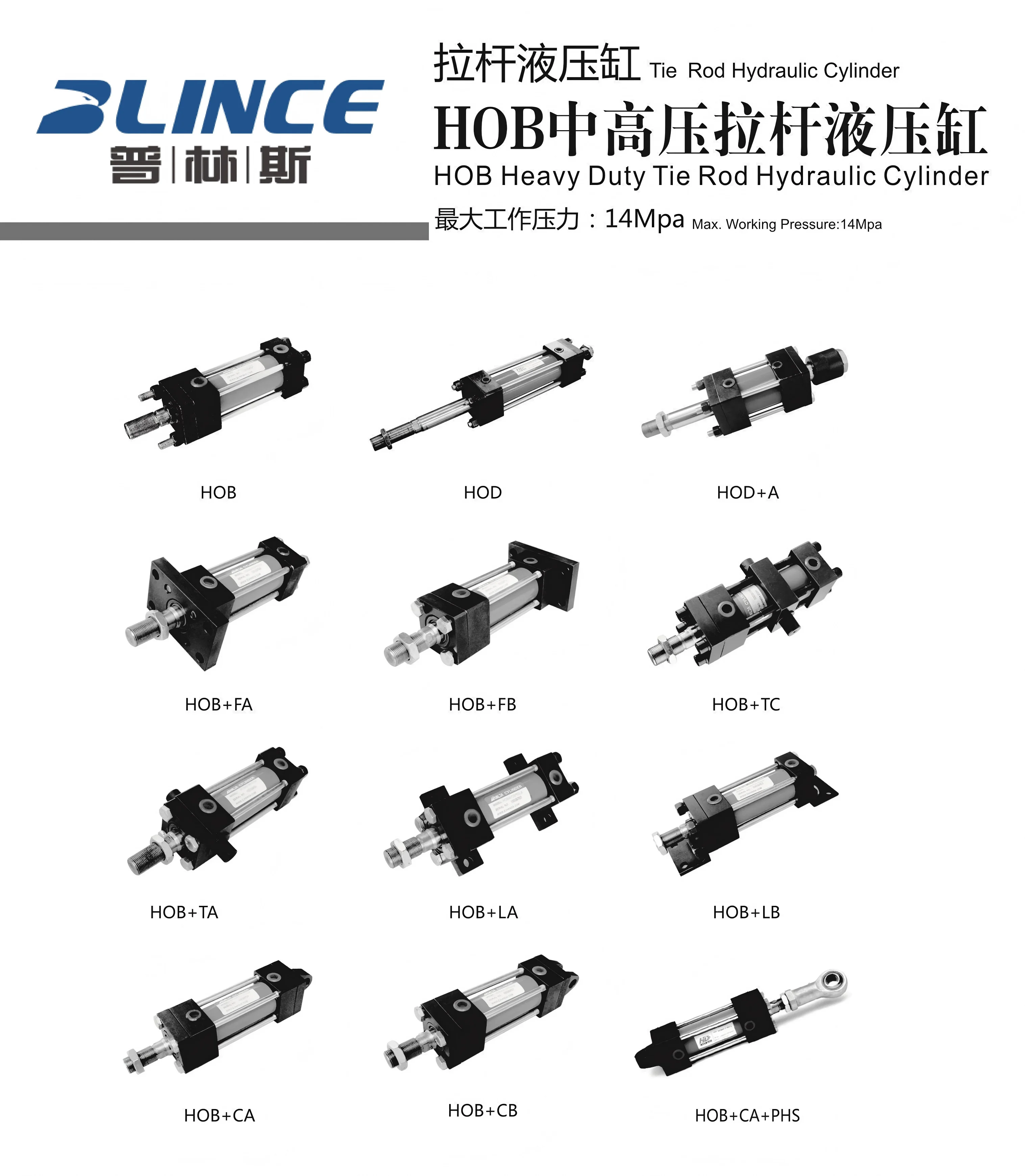 HOB40 50 63 80 100 125 150 180 200 OEM Custom Hydraulic Oil Cylinder with Different Bore and Stroke