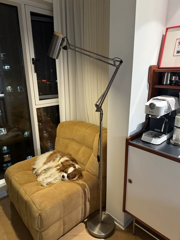 Vintage Bauhaus Denmark Swing arm Metal Silver Grey Adjustable Floor Lamp Restaurant Study