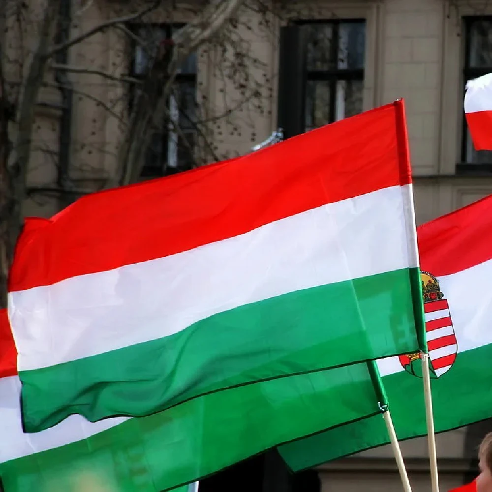 Hungary Flag 90x150cm The Hungarian hanging polyester flags Hungary flags For Decoration