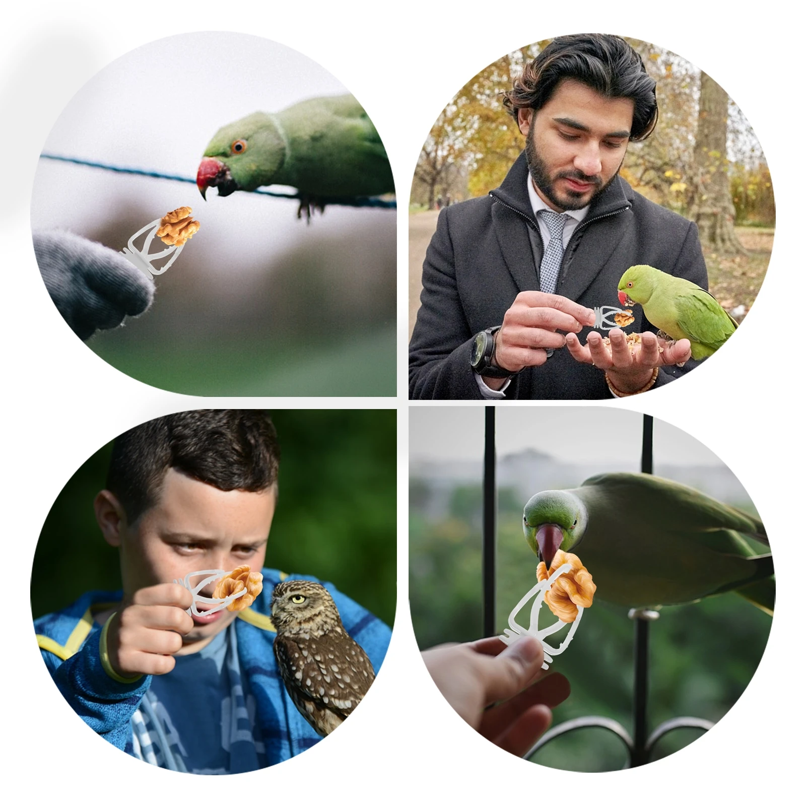 

10pcs Bird Vegetable Tongs Cage Food Feeding Clamp Parrot Pet Bird Food Fixing Clip Storage Easy Install Practical Long Lasting