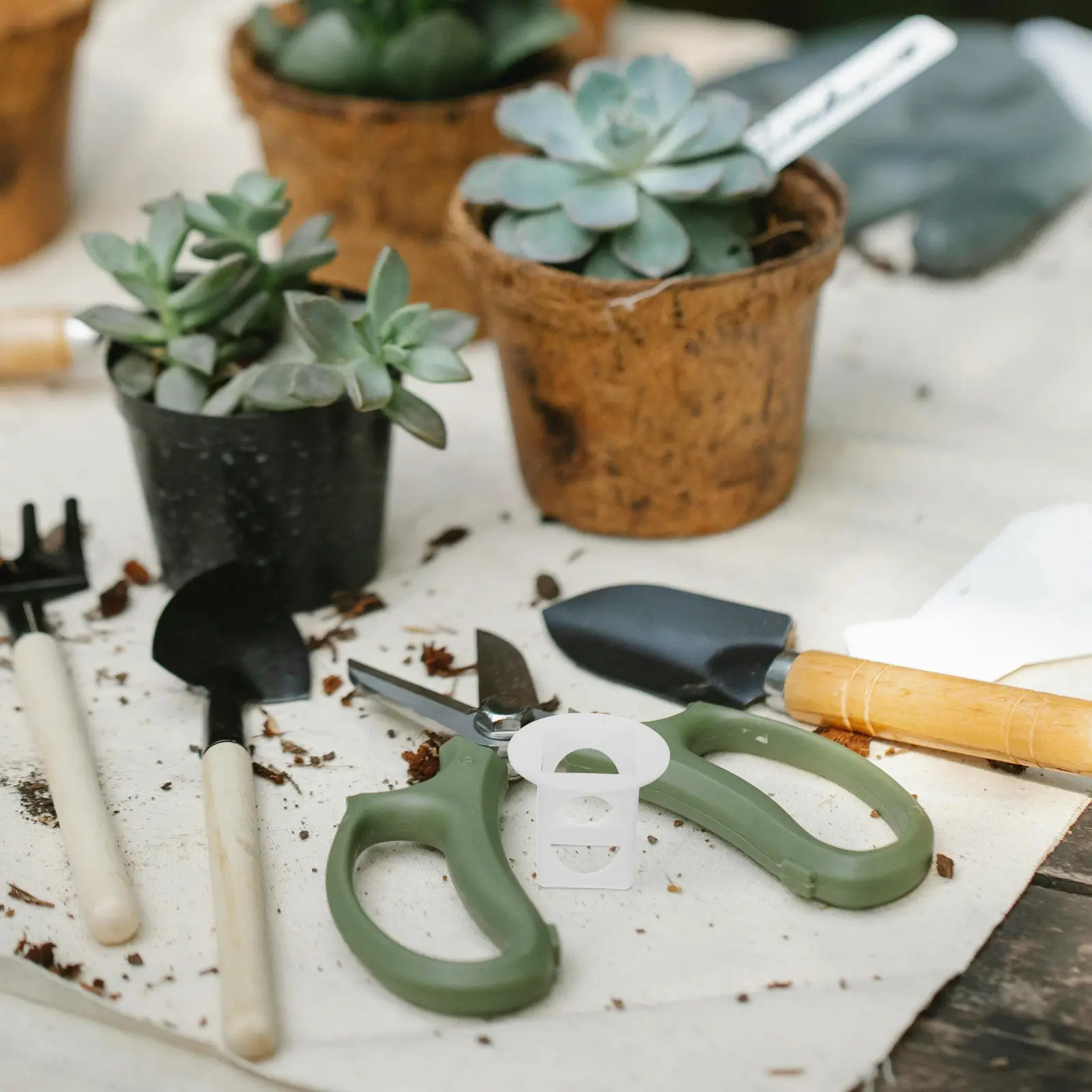 

10 шт. квадратных пластиковых гидропонных контейнеров для выращивания растений, совместимых с беспочвенным выращиванием в помещении