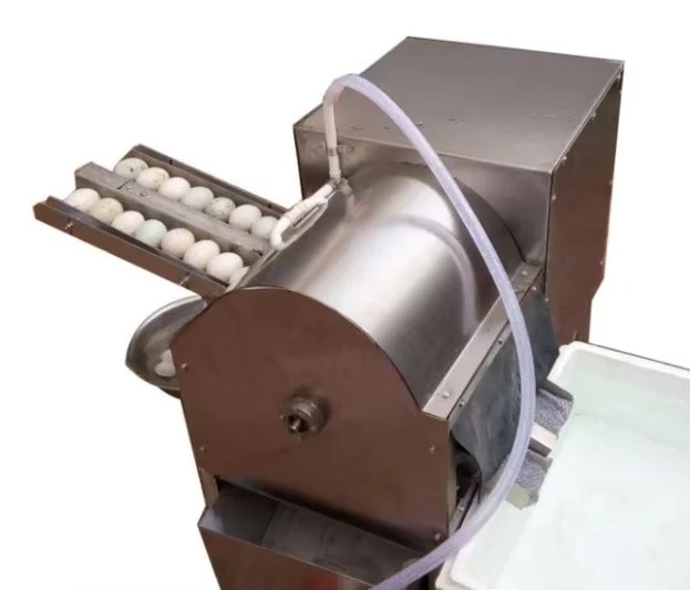 آلة تنظيف صغيرة أوتوماتيكية 3000/ساعة لتنظيف البيض والبط والأوز التجارية