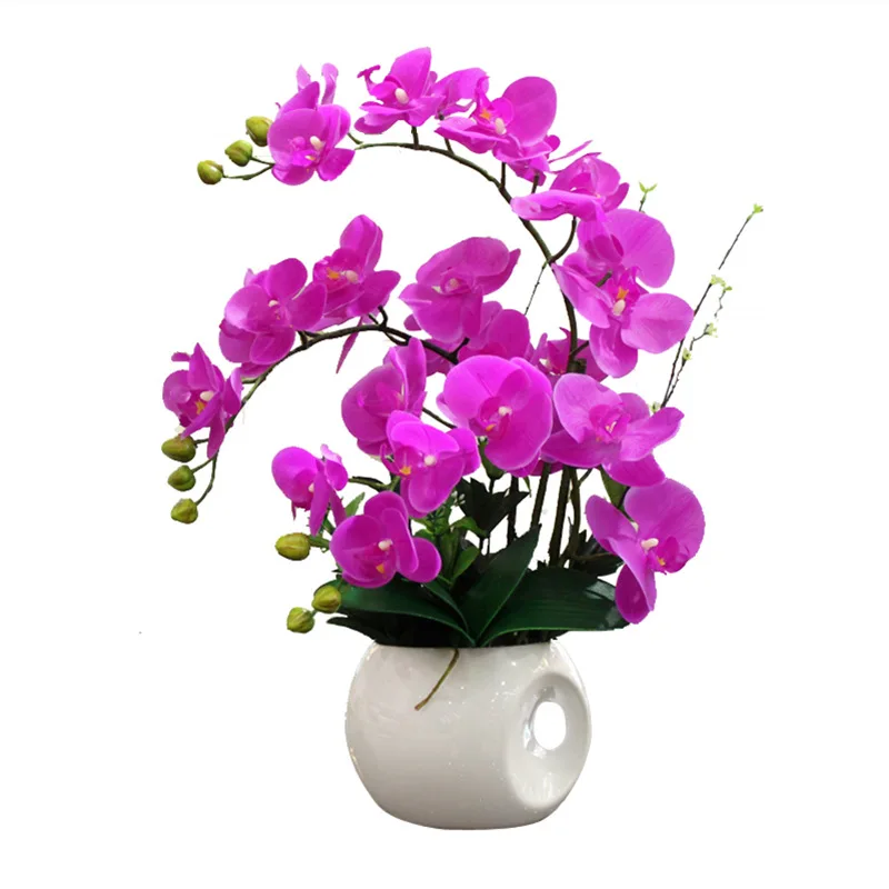 

Simulation flower, ornament, butterfly, TV, orchid