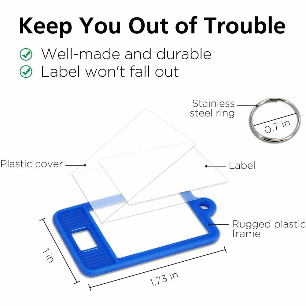 ABKO-100 Pezzi Etichette Chiave in Plastica Resistente Etichetta Ovale con Finestra e Anello Diviso, Etichette per Etichettatura Vuote 5 Colori
