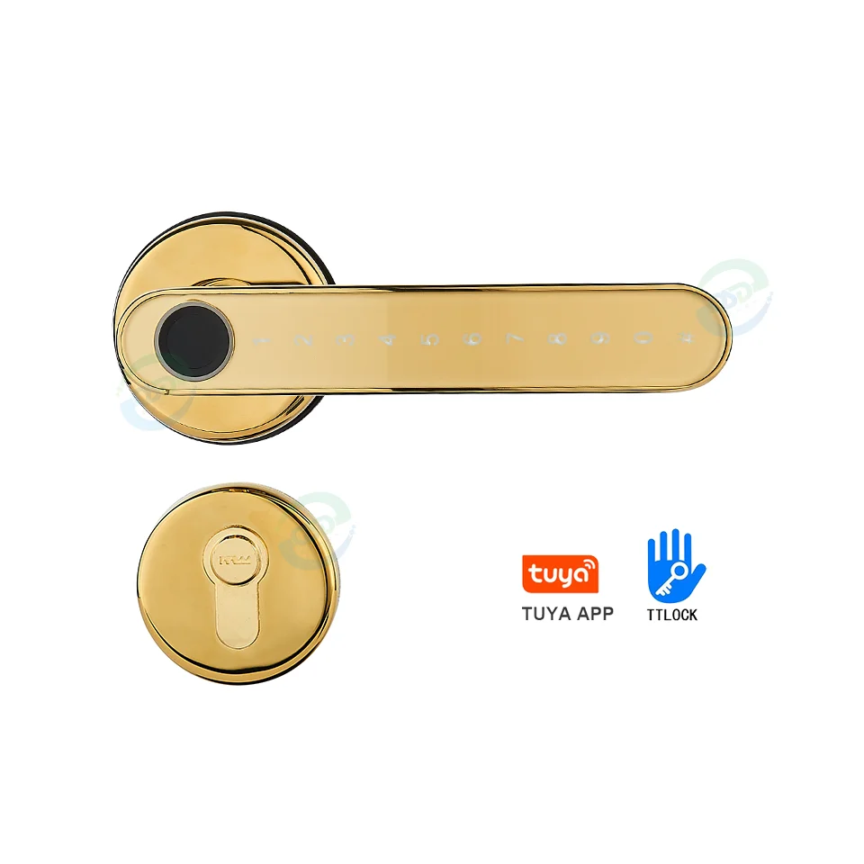 Gold Biometric Fingerprint RFID Smart Lock Interior Split Handle Key Card Access Tuya TTLock App Control Simplified Home Hotel