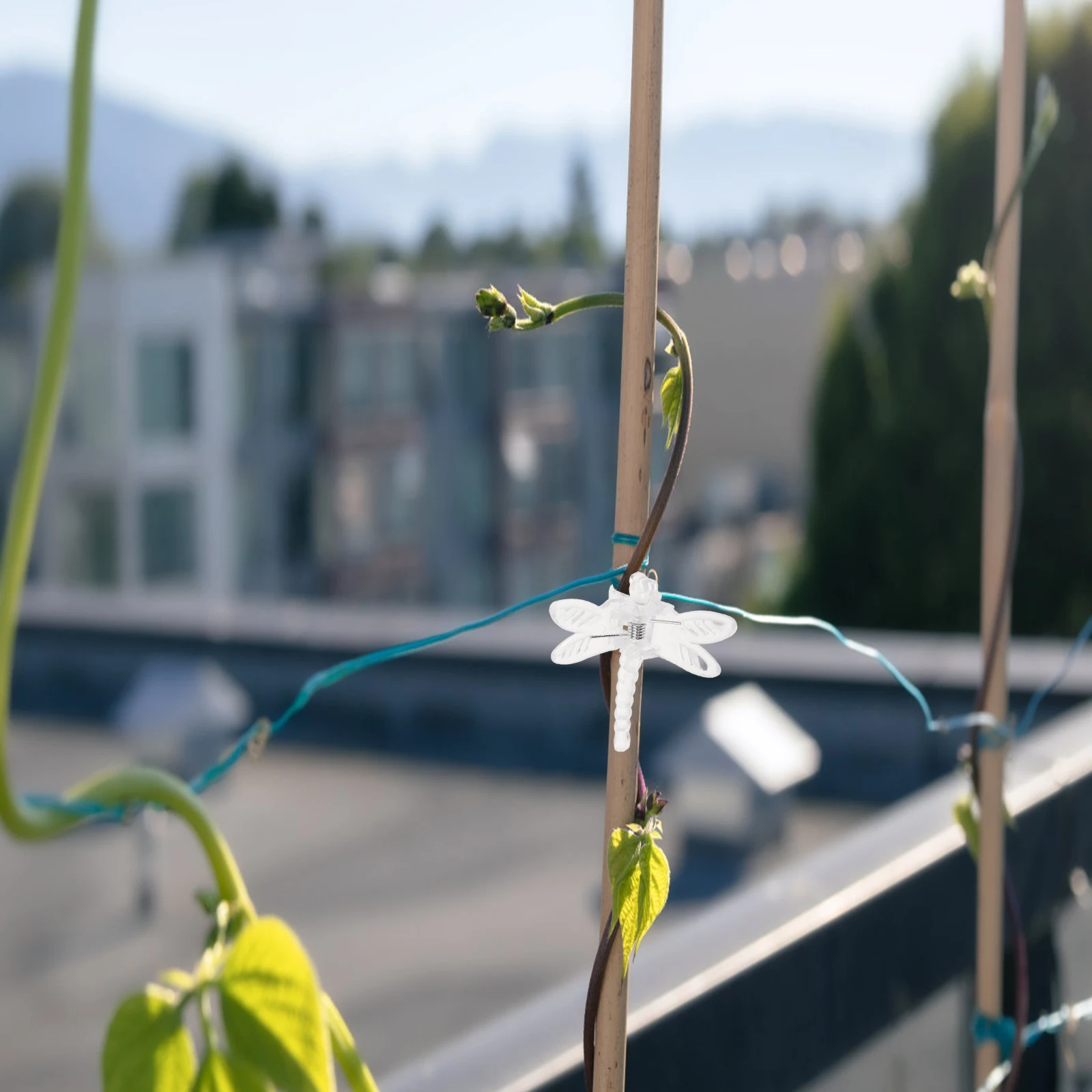 

10pcs Orchid Fixing Rod Clips Plant Support Stems Climbing Flowers Vine Vegetables Gardening Accessories Transparent Stake