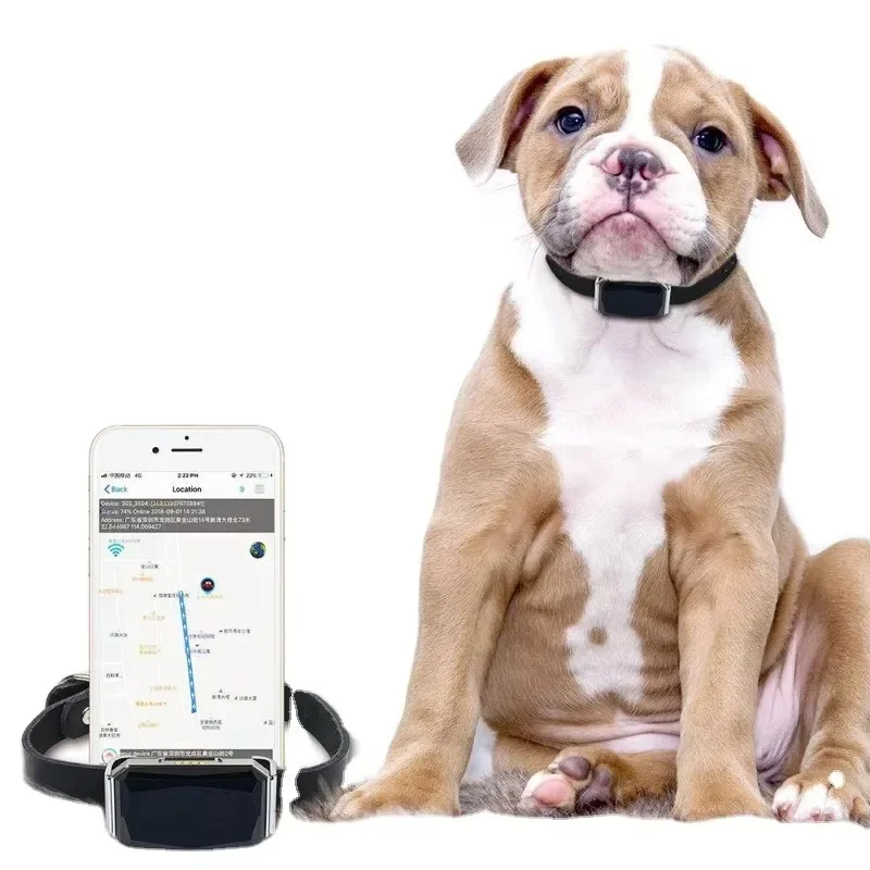 IP67 Waterproof G12P Pet Mini GPS Tracker Free APP Web Tracking System 365GPS for Dog Cat